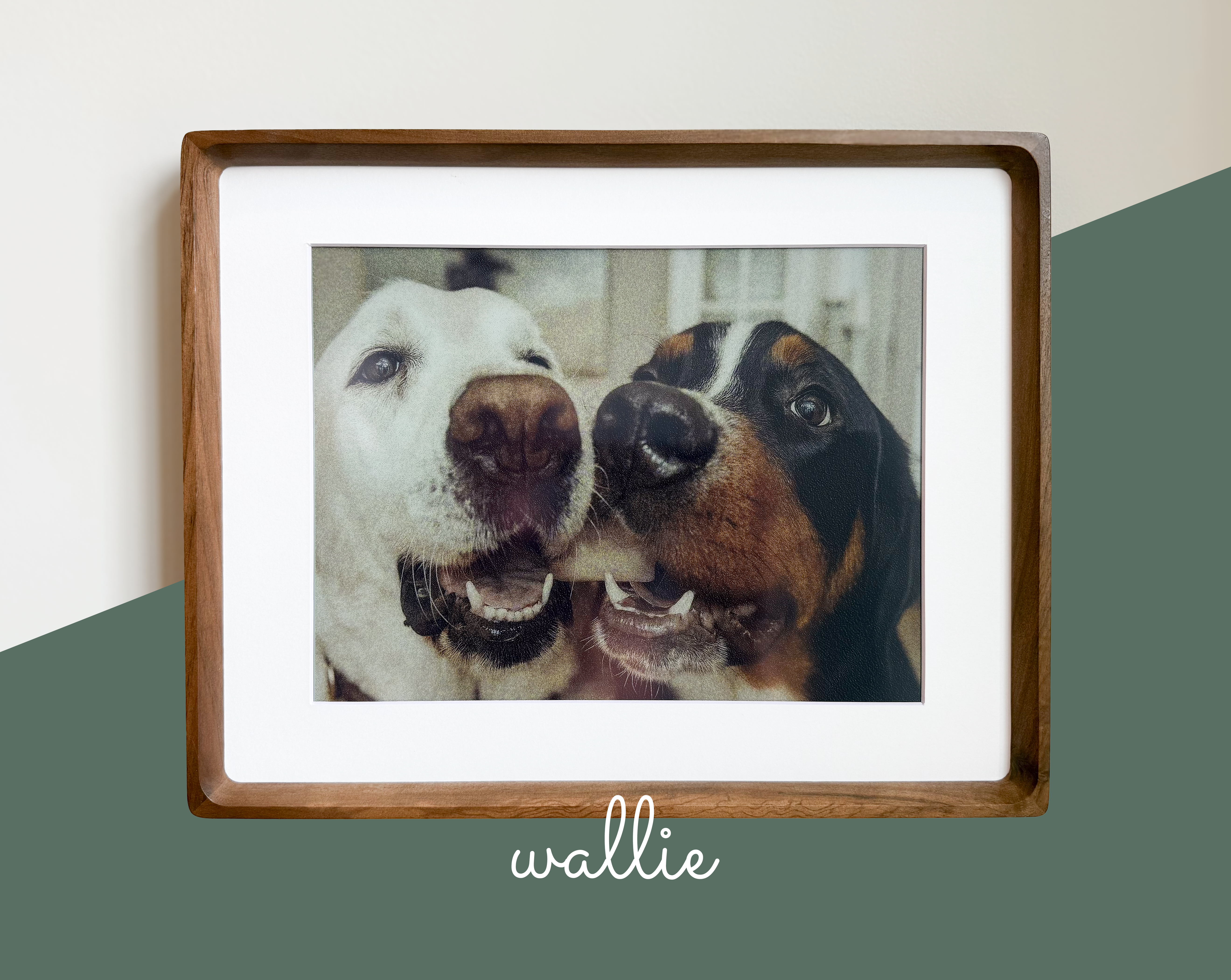 E-ink display showing paper-like quality