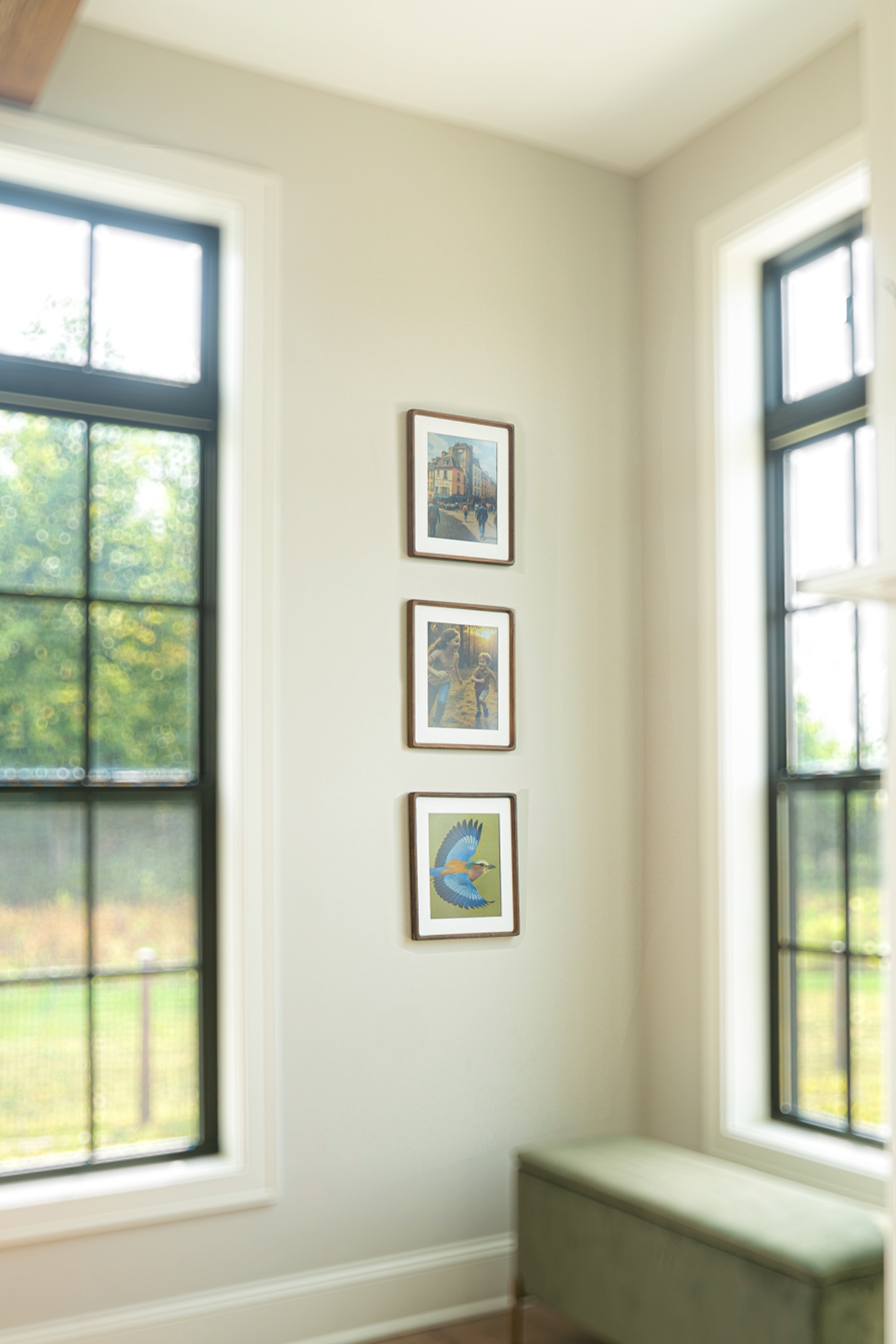 Wallie in living room